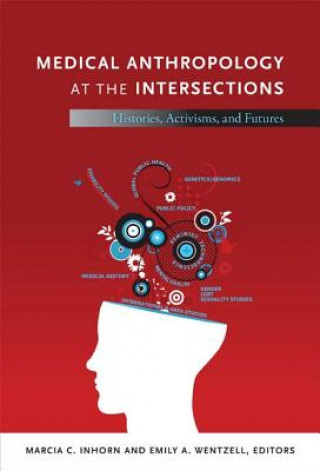 Buch Medical Anthropology at the Intersections 