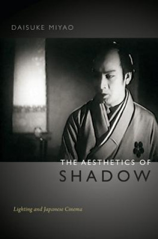 Kniha Aesthetics of Shadow Daisuke Miyao