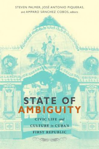 Buch State of Ambiguity Steven Palmer