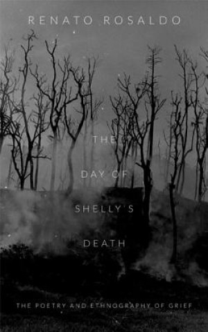 Книга Day of Shelly's Death Renato Rosaldo