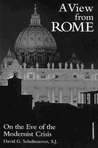 Libro View From Rome David G. Schultenover