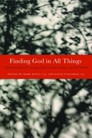 Buch Finding God in All Things Mark Bosco