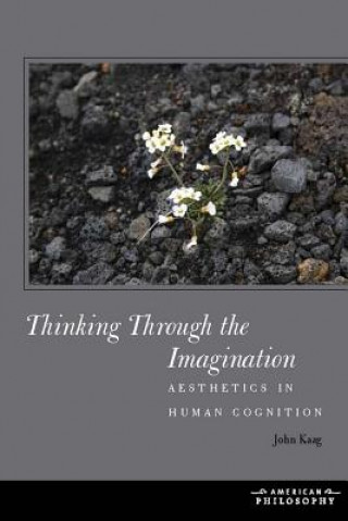 Книга Thinking Through the Imagination John Kaag