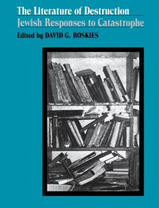 Könyv Literature of Destruction David G. Roskies
