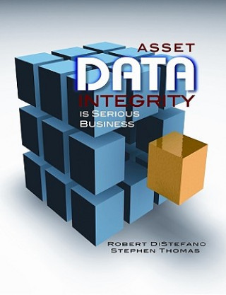 Kniha Asset Data Integrity is Serious Business Robert S. DiStefano