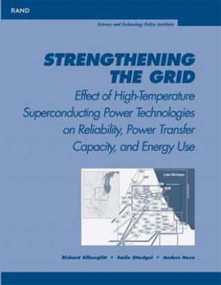 Könyv Strengthening the Grid Richard Silberglitt