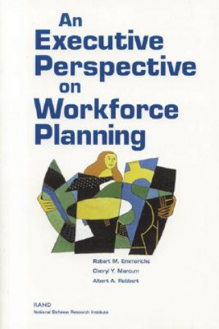 Książka Executive Perspective on Workforce Planning Robert M. Emmerichs