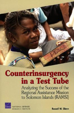 Könyv Counterinsurgency in a Test Tube Russell W. Glenn