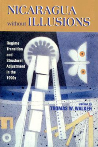 Kniha Nicaragua Without Illusions Thomas W. Walker