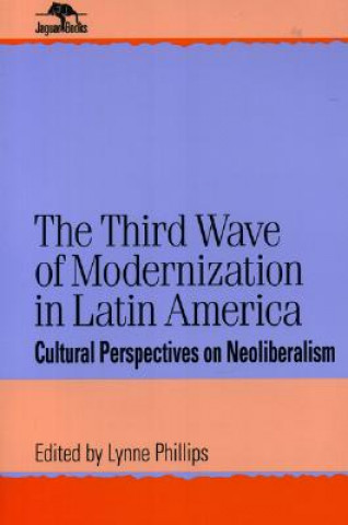 Könyv Third Wave of Modernization in Latin America 