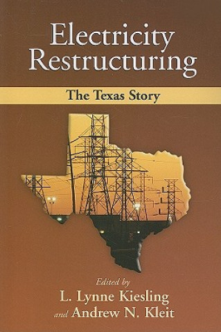 Kniha Electricity Restructuring Lynne Kiesling