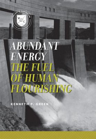 Книга Abundant Energy Kenneth P. Green