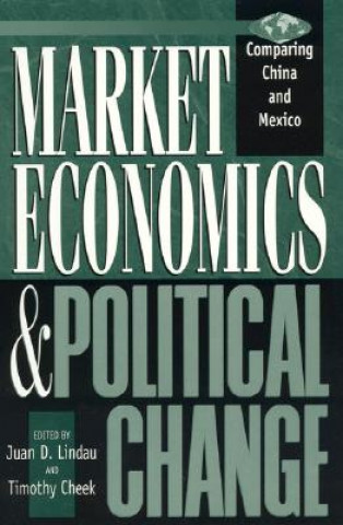 Kniha Market Economics and Political Change Juan D. Lindau