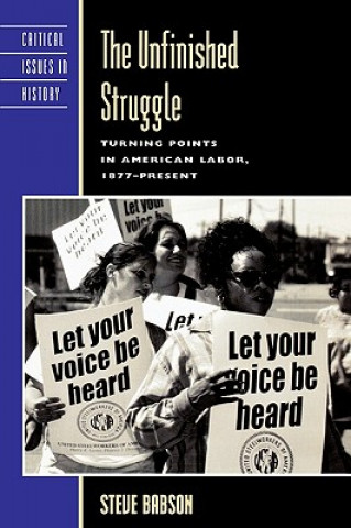 Livre Unfinished Struggle Steve Babson