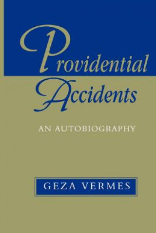 Книга Providential Accidents Geza Vermes