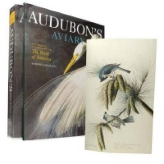 Könyv Audubon's Aviary Roberta Olson