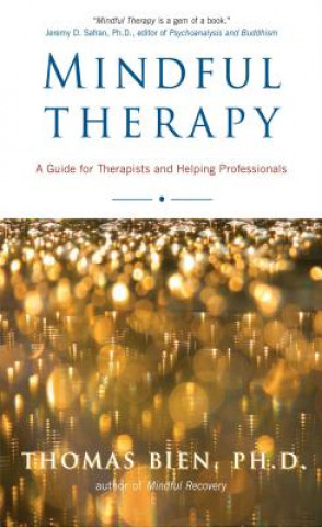 Libro Mindful Therapy Tom Bien