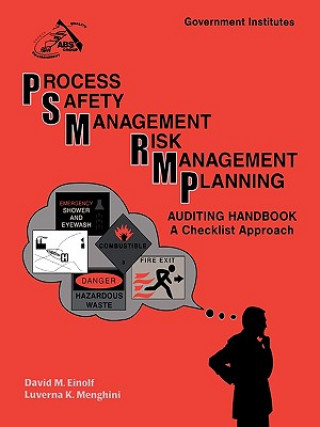 Książka PSM/RMP Auditing Handbook David M. Einolf