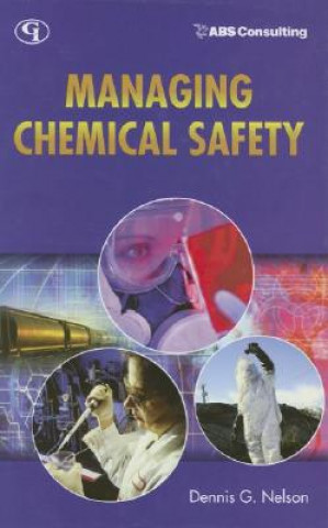 Knjiga Managing Chemical Safety Dennis G. Nelson