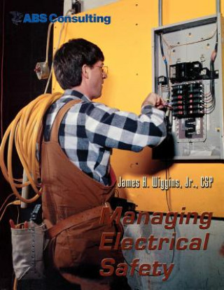 Книга Managing Electrical Safety James H. Wiggins