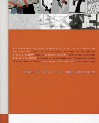 Könyv Perfect Acts of Architecture Jeffrey Kipnis