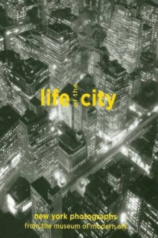 Carte Life of the City Sarah Hermanson Meister