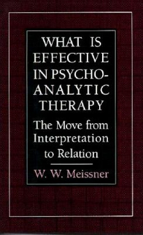 Könyv What Is Effective in Psychoanalytic Therapy W. W. Meissner