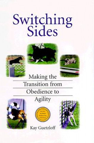 Книга Switching Sides Kay Guetzloff