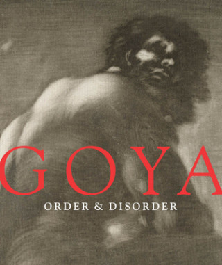 Könyv Goya Stephanie Loeb Stepanek
