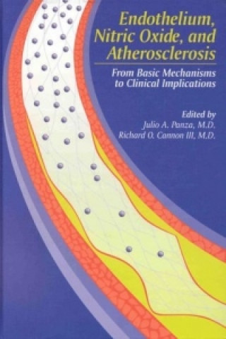 Könyv Endothelium, Nitric Oxide and Atherosclerosis Julio Panza