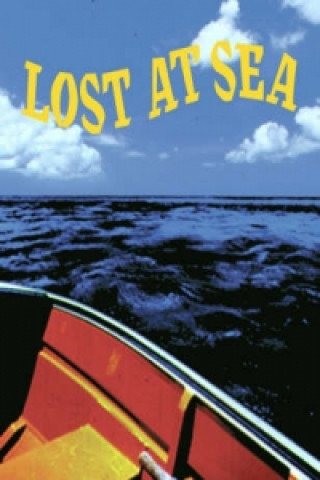 Book Lost at Sea Jossey-Bass Pfeiffer
