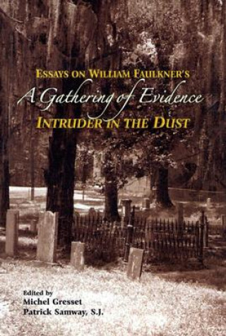 Buch Gathering of Evidence Patrick Samway