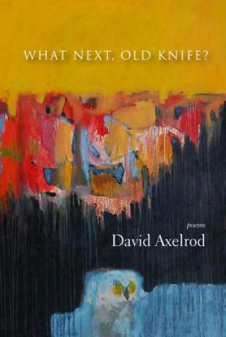 Книга What Next, Old Knife? David Axelrod