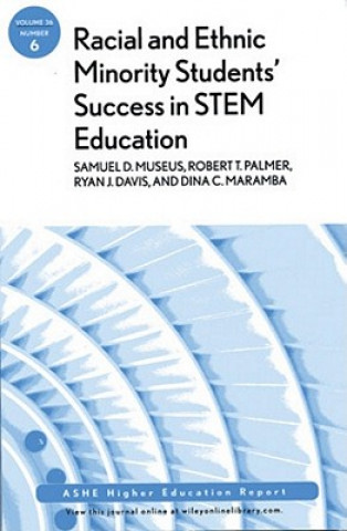 Knjiga Racial and Ethnic Minority Student Success in STEM Education AEHE