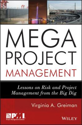 Buch Megaproject Management - Lessons on Risk and Project Management from the Big Dig Virginia A. Greiman