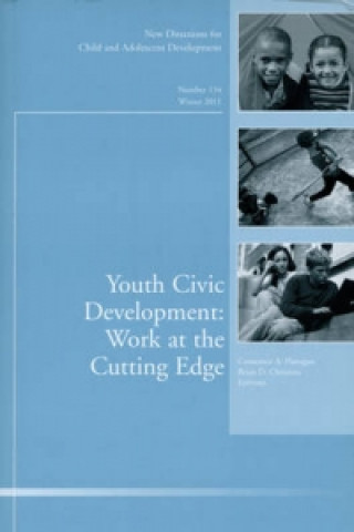 Kniha Youth Civic Development: Work at the Cutting Edge Constance A. Flanagan