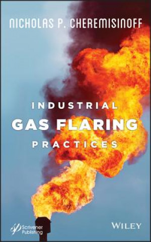 Книга Industrial Gas Flaring Practices Nicholas P. Cheremisinoff