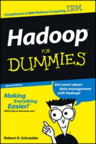 Knjiga Hadoop For Dummies (Custom) Robert D. Schneider