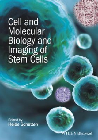 Kniha Cell and Molecular Biology and Imaging of Stem Cells Heide Schatten