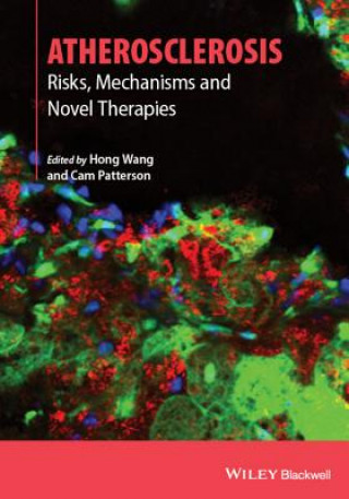 Carte Atherosclerosis - Risks, Mechanisms and Therapies Hong Wang