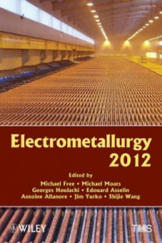 Kniha Electrometallurgy 2012 