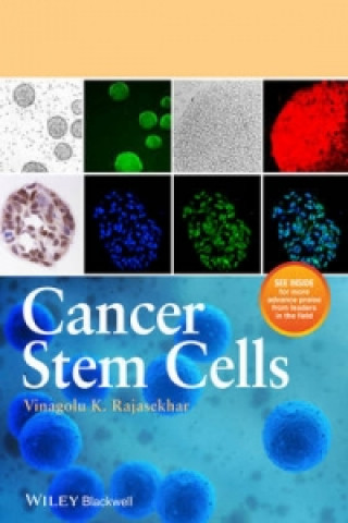 Książka Cancer Stem Cells Vinagolu K. Rajasekhar