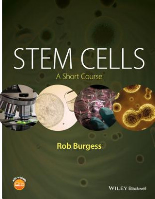 Βιβλίο Stem Cells - A Short Course Rob Burgess