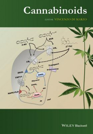 Könyv Cannabinoids Vincenzo Di Marzo