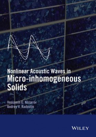 Könyv Nonlinear Acoustic Waves in Micro-inhomogeneous Solids Andrey Radostin