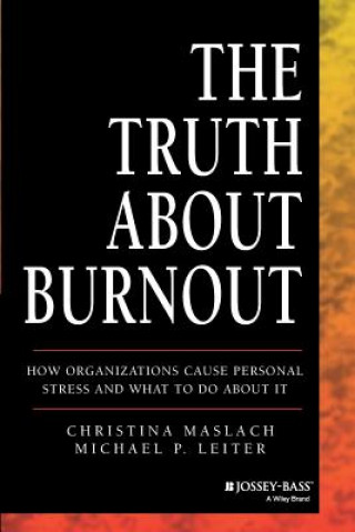 Kniha Truth About Burnout Christina Maslach