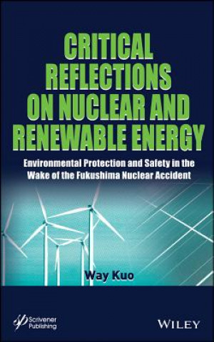 Kniha Critical Reflections on Nuclear and Renewable Energy Way Kuo