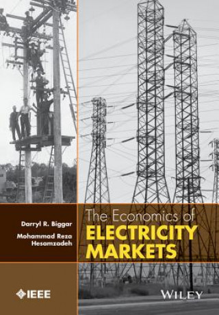 Kniha Economics of Electricity Markets Mohammad Hesamzadeh