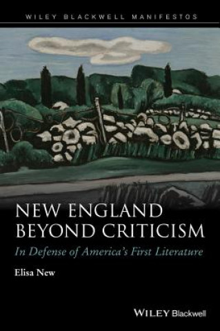 Kniha New England Beyond Criticism Elisa New