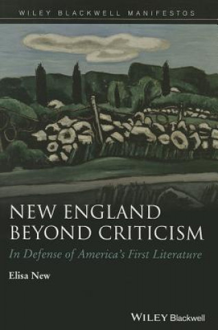 Carte New England Beyond Criticism - In Defense of America's First Literature Elisa New